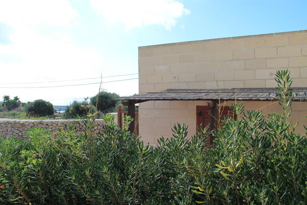Case Canino Favignana Exteriér fotografie